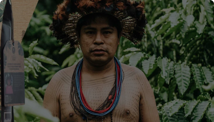 Conheça o Projeto Tribos. Grão cultivados por indígenas cafeicultoras. Faça parte.